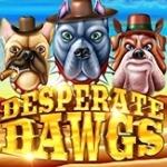 Desperate Dawgs
